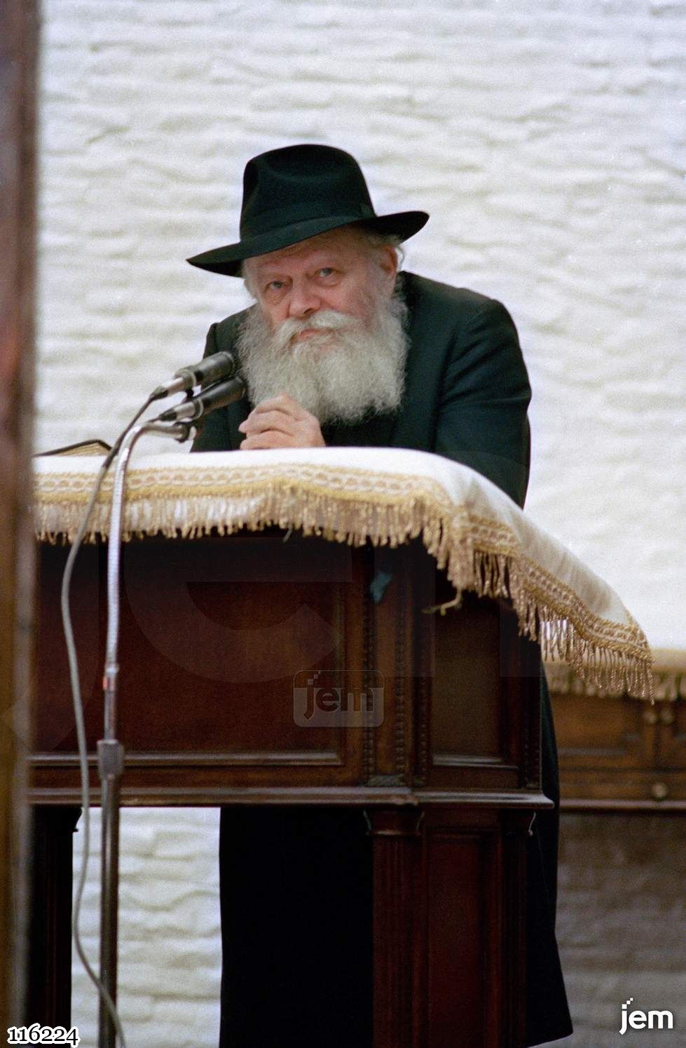 תמונה 116224
