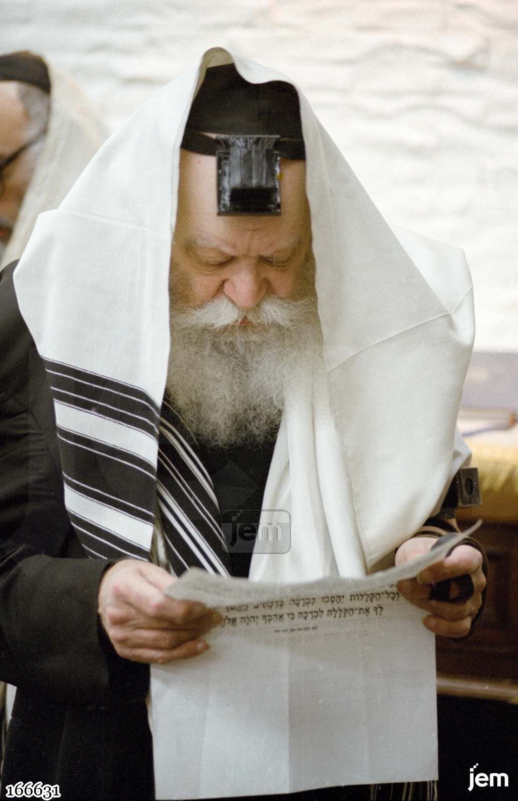 תמונה JEM ID -166631