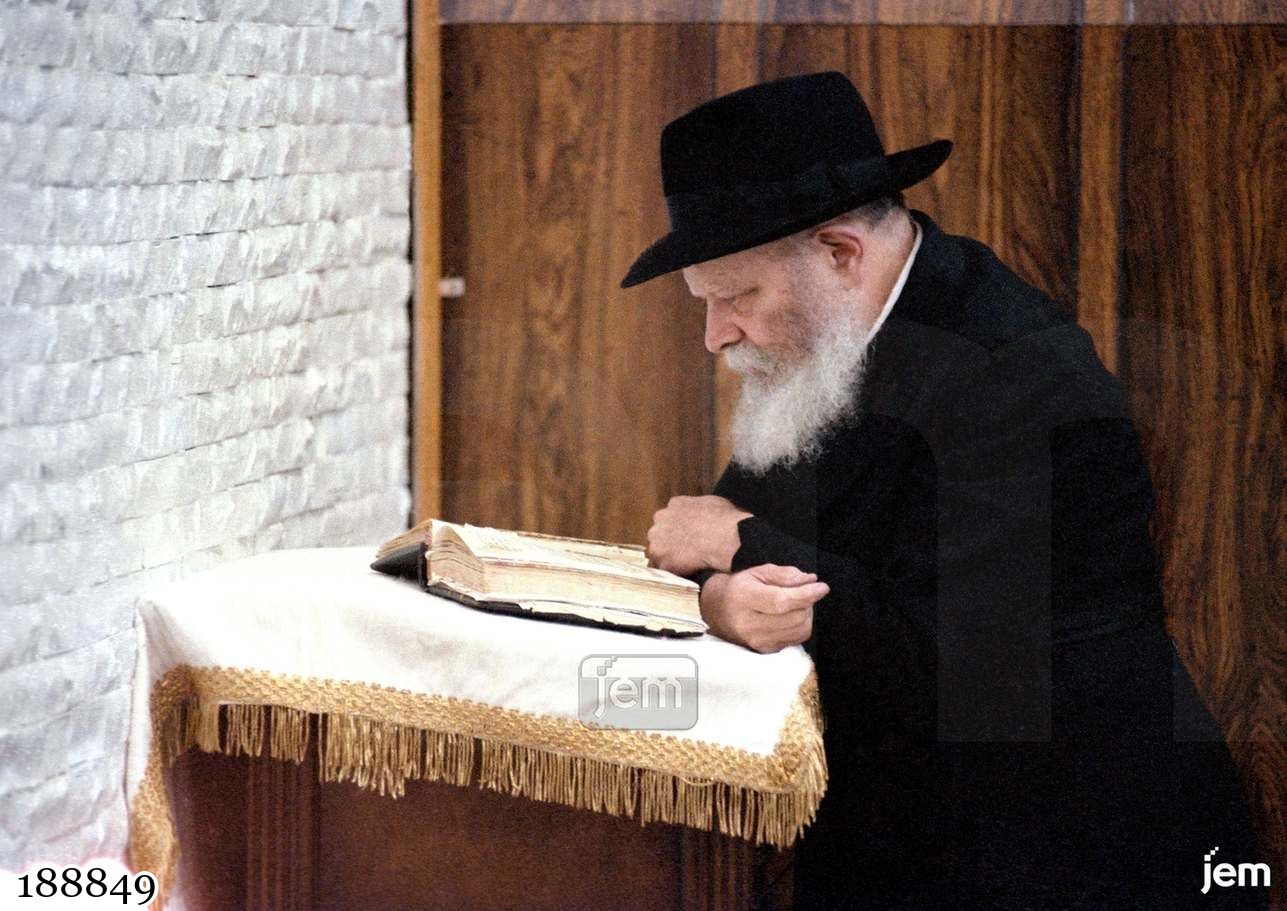 תמונה JEM ID -188849