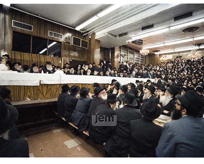 Photo Order - JEM ID #206062 - Prints / 8x10