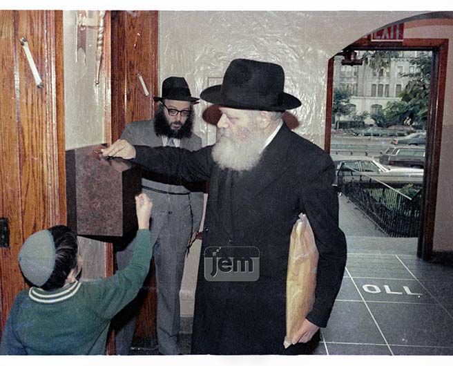 Photo Order - JEM ID #209579 - Metal / 8x10