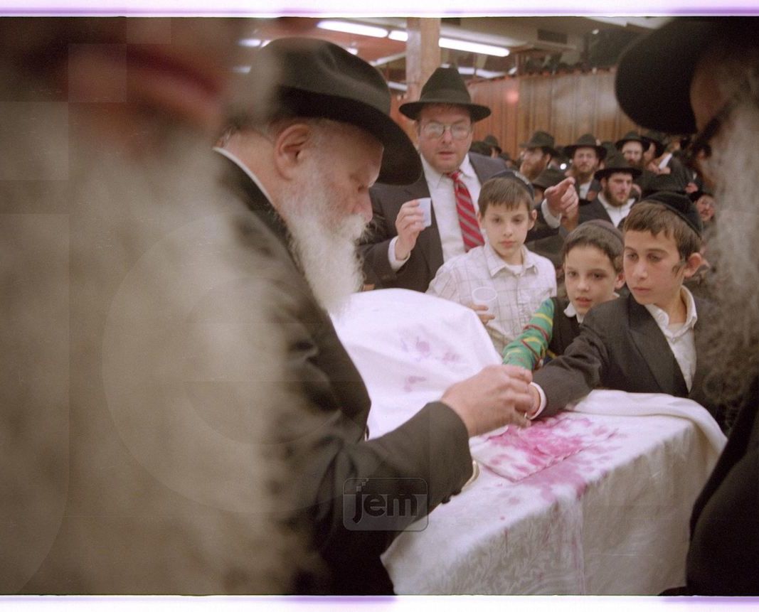 Photo Order - JEM ID #246983 - Prints / 8x10