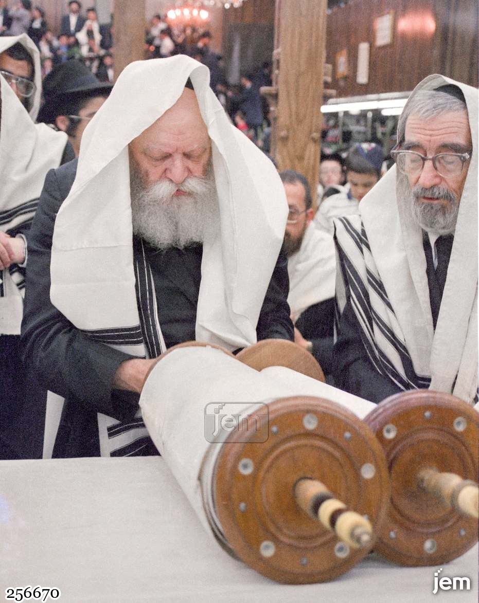 תמונה JEM ID -256670