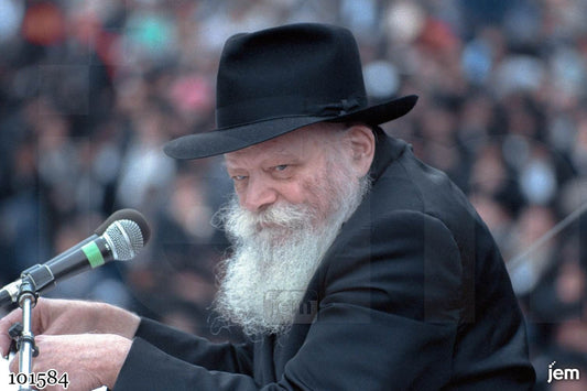 תמונה JEM ID -101584
