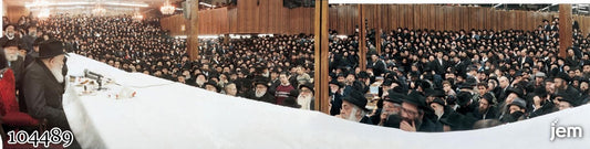 תמונה JEM ID -13263