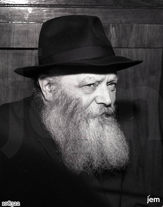 תמונה 108322