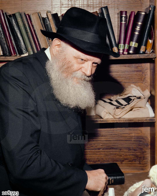 תמונה 108593