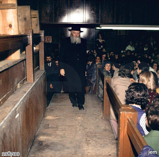 תמונה JEM ID -108700