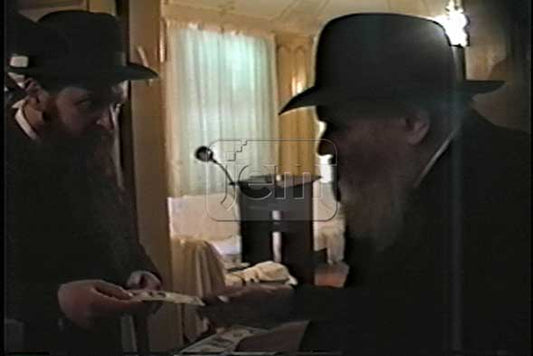 הזמנת וידאו של הרגע שלי - מזהי JEM 2213736