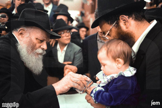 תמונה JEM ID -113969
