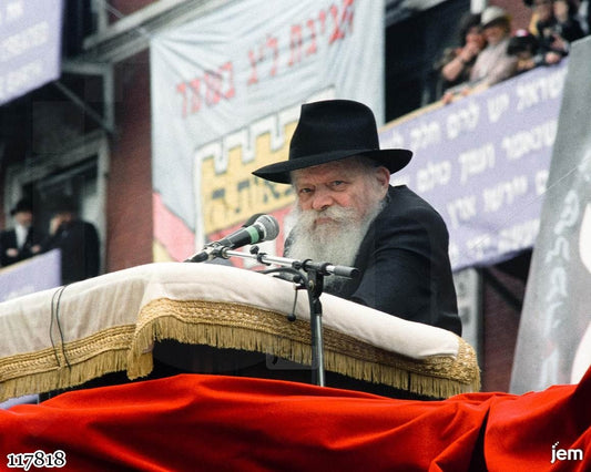 תמונה JEM ID -117818