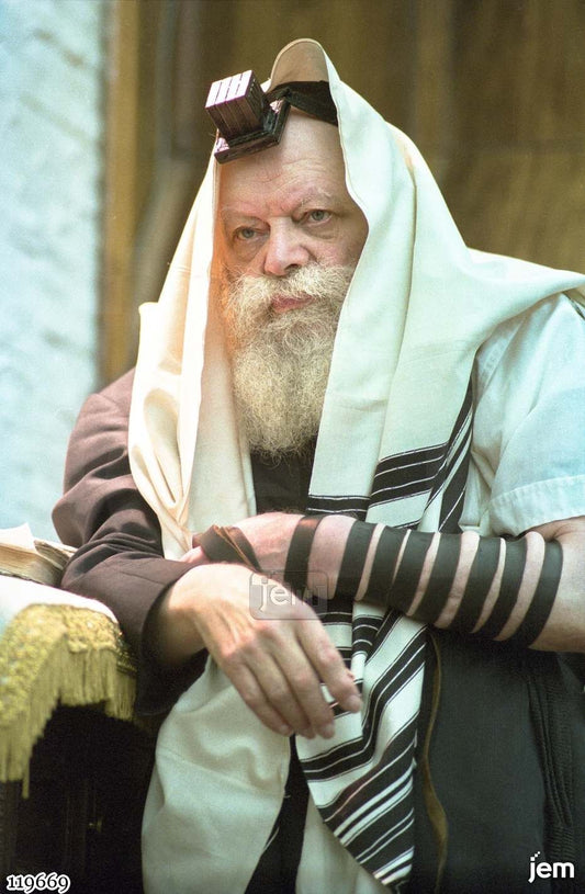 תמונה JEM ID -119669