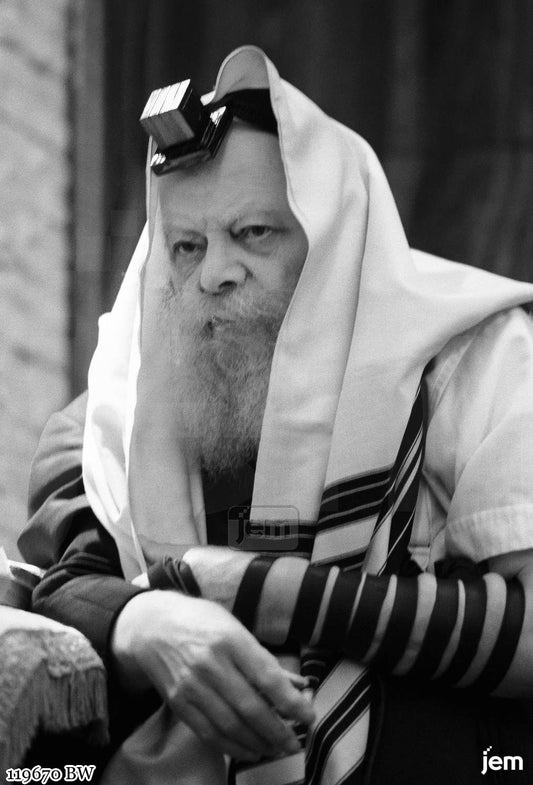 תמונה JEM ID -119670