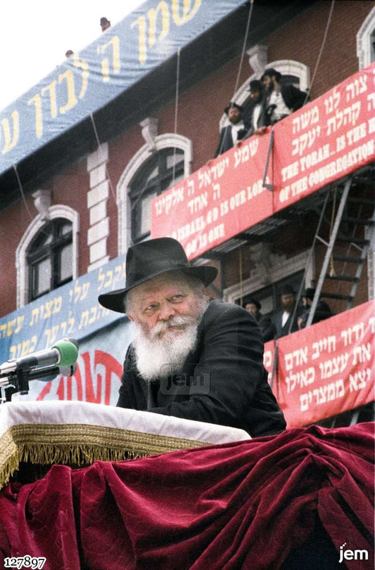 תמונה JEM ID -127897