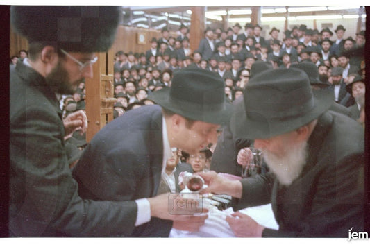 Photo Order - JEM ID #128419 - Prints / 4x6