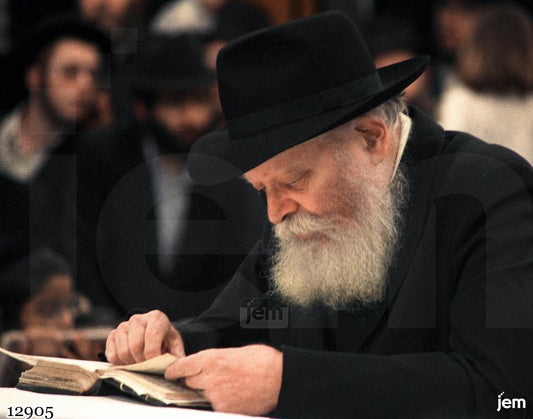 תמונה JEM ID -12905