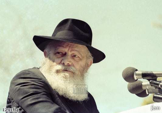תמונה JEM ID -129164