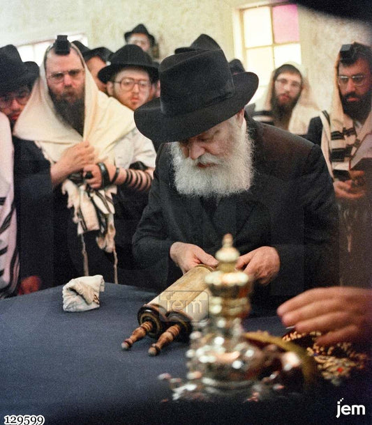 תמונה JEM ID -17593