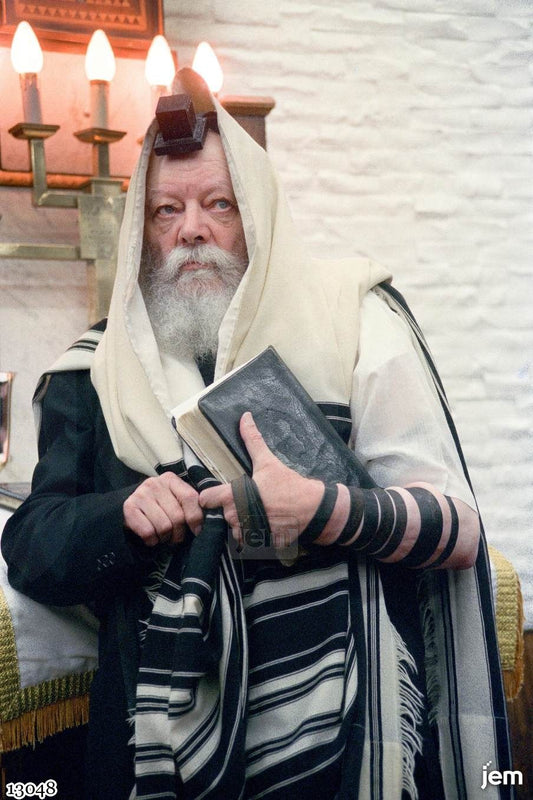 תמונה JEM ID -13048