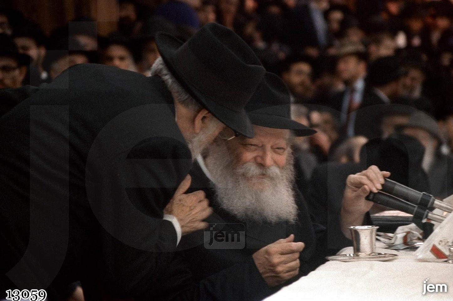 תמונה - 13059