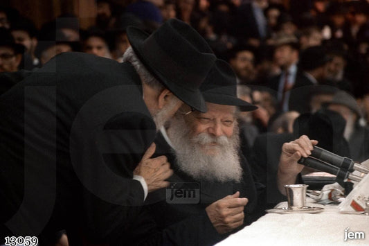 תמונה JEM ID -13059