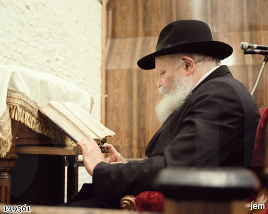תמונה JEM ID -139561