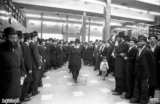Photo-142246
