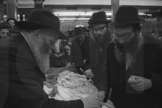 Photo Order - JEM ID #142564 - Prints / 4x6