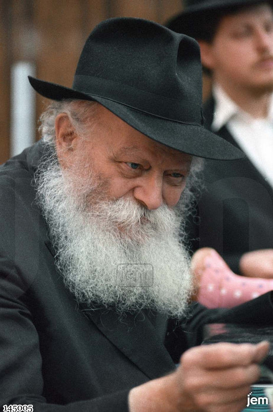 תמונה JEM ID -17519