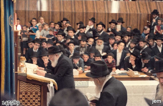 Photo-147589