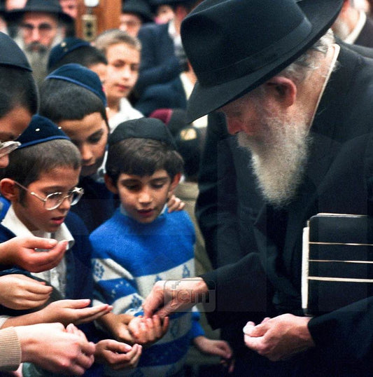 Photo Order - JEM ID #15114 - Prints / 10x10