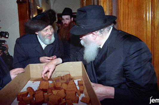 Photo Order - JEM ID #152923 - Canvas / 8x12