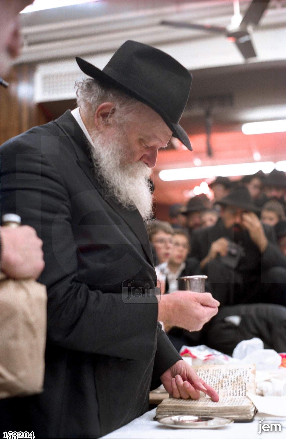 תמונה JEM ID -153204