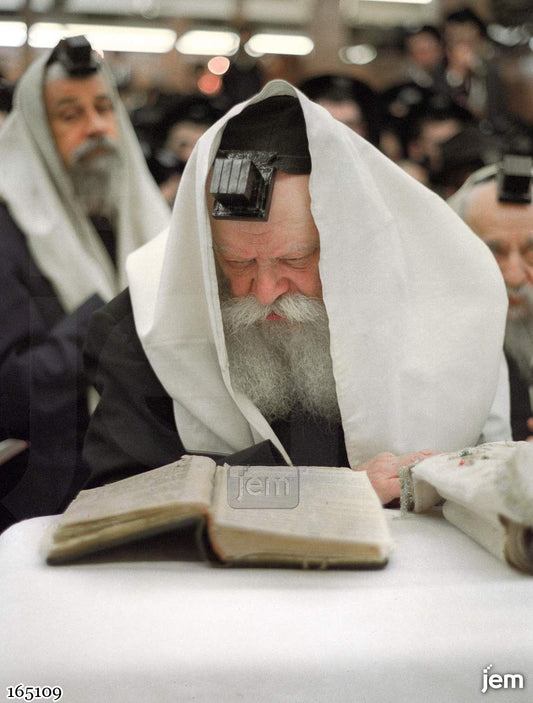 תמונה JEM ID -165109