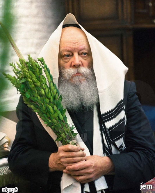 תמונה JEM ID -165158