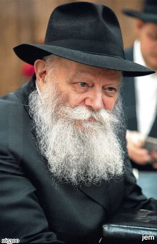 תמונה JEM ID -165300