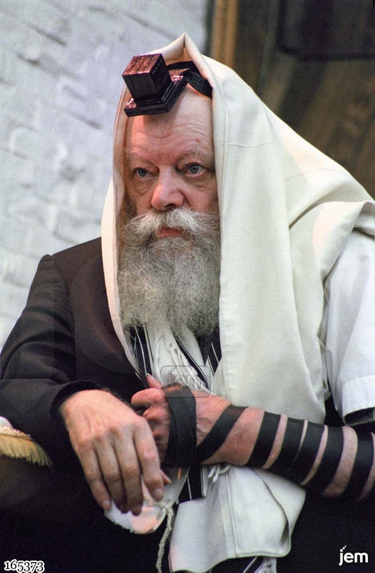 תמונה JEM ID -165373