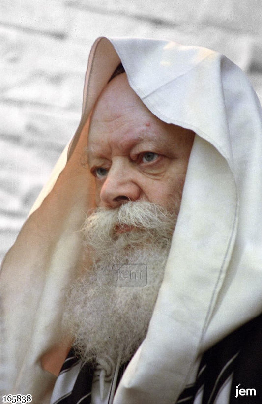 תמונה JEM ID -165838