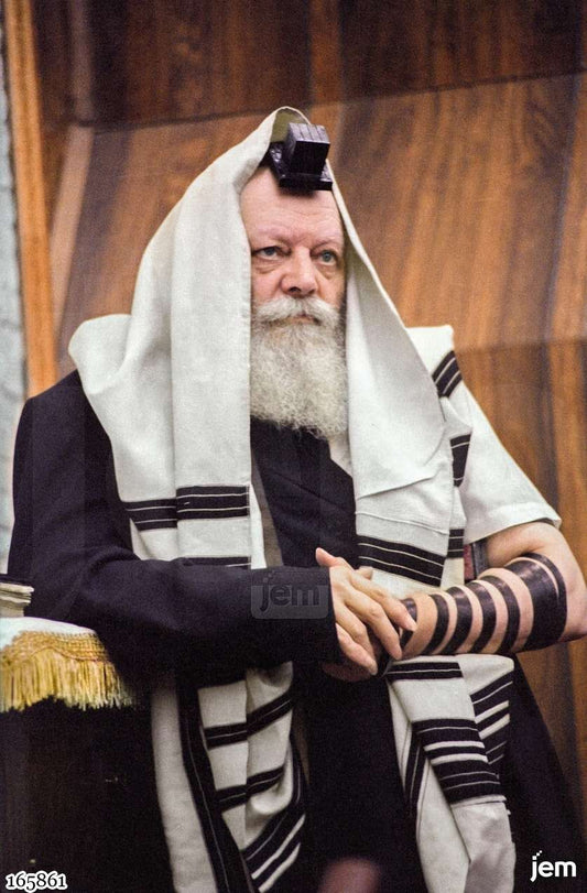 תמונה JEM ID -165861