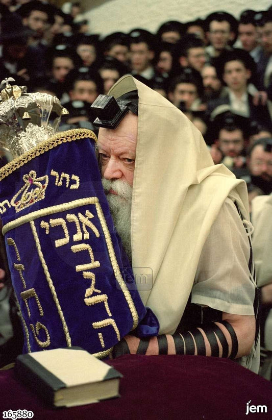 תמונה JEM ID -165880
