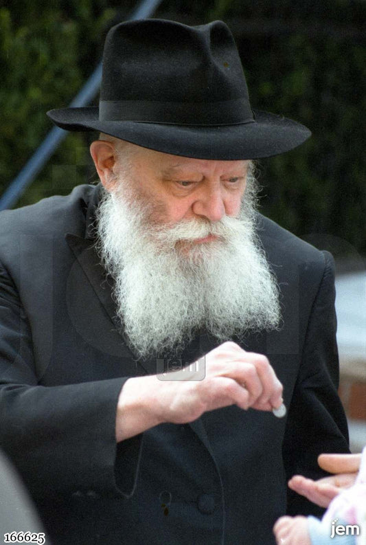 תמונה JEM ID -166625