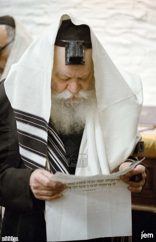 תמונה JEM ID -166631