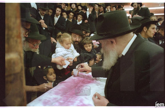 Photo Order - JEM ID #167938 - Prints / 8x12
