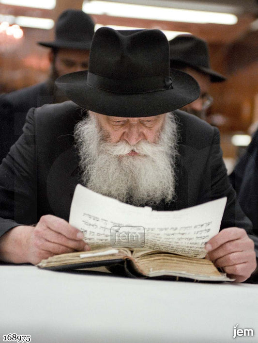 תמונה JEM ID -168975