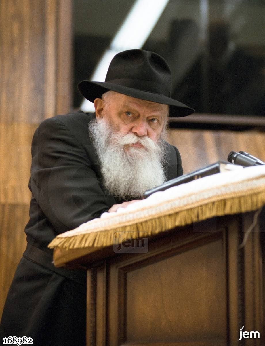 תמונה 168982