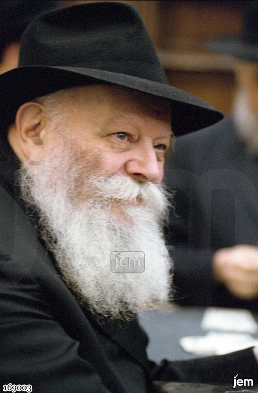 תמונה 169003