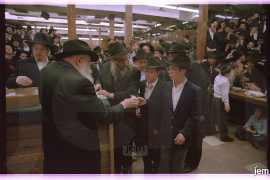 Photo Order - JEM ID #169219 - Prints / 8x12
