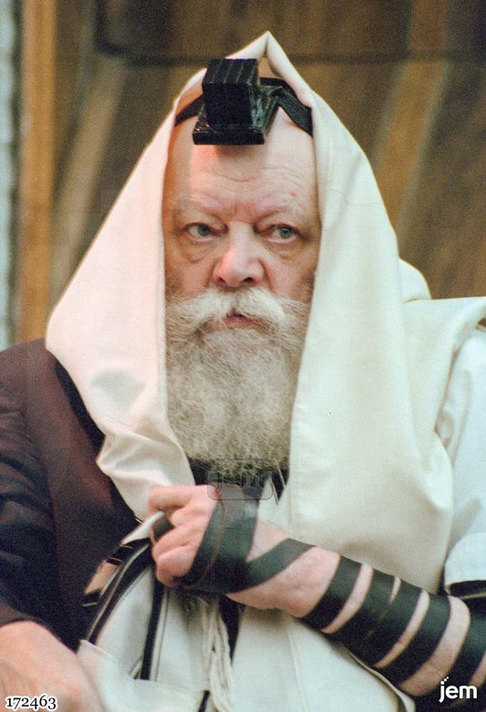 תמונה JEM ID -172463