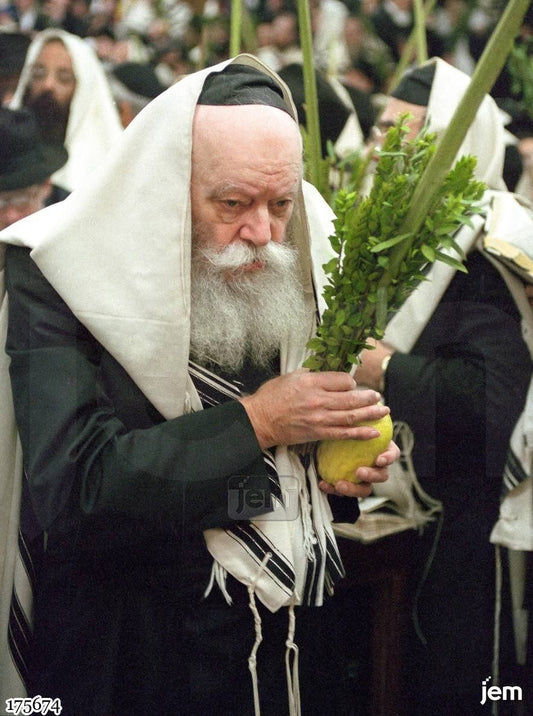תמונה JEM ID -175674