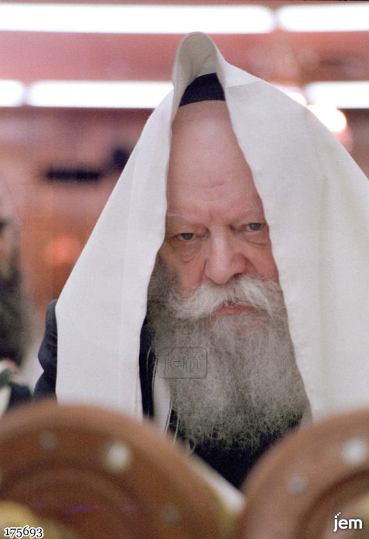 תמונה JEM ID -175693